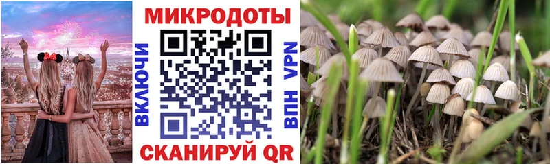 MEGA зеркало  Котово  Галлюциногенные грибы Magic Shrooms 